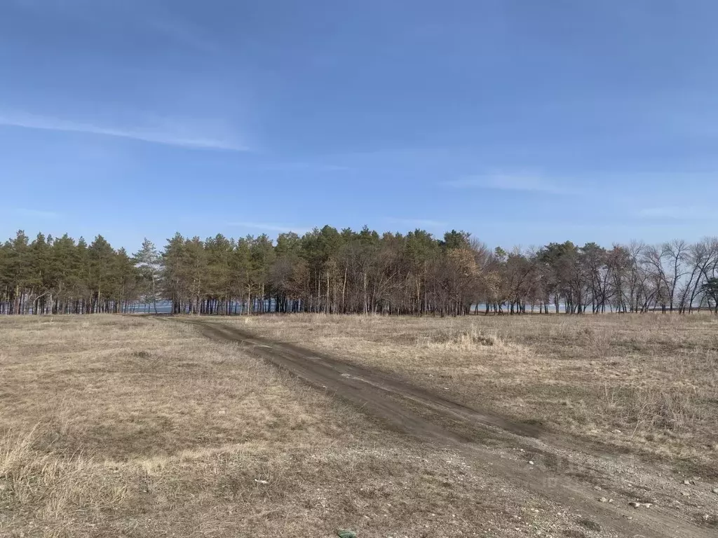Участок в Ульяновская область, Новоульяновск городской округ, с. ... - Фото 0