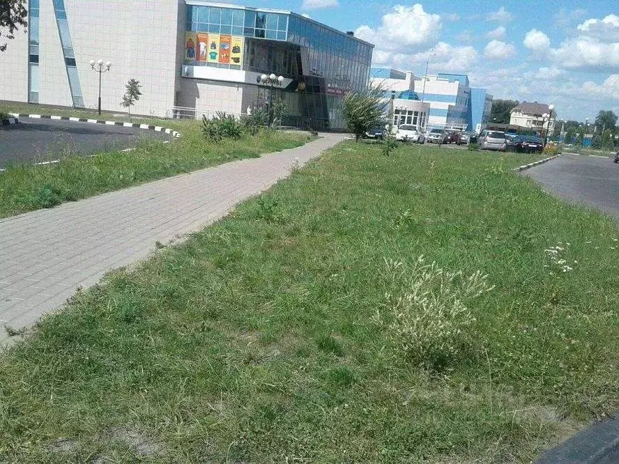 Офис в Белгородская область, Шебекино ул. Ленина, 71 (1277 м) - Фото 0