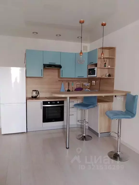 Студия Новосибирская область, Новосибирск ул. Виктора Шевелева, 38 ... - Фото 1