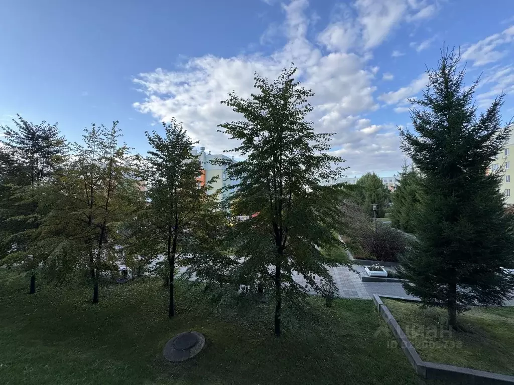 3-к кв. Кемеровская область, Кемерово Лесная Поляна жилрайон, бул. ... - Фото 1