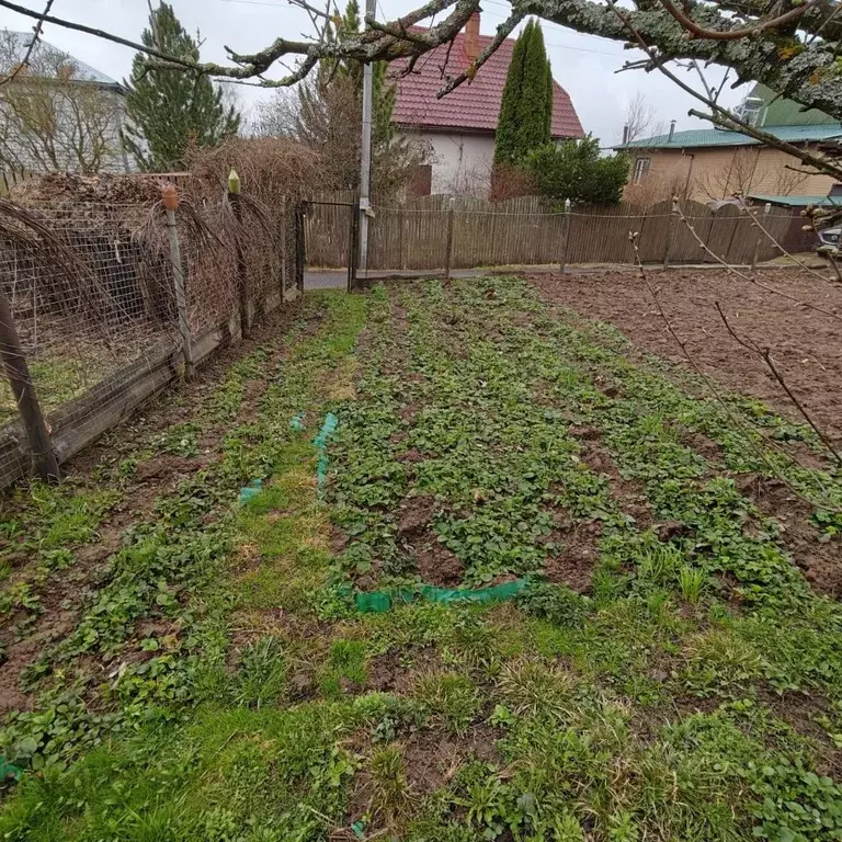 Участок в Московская область, Подольск городской округ, Крокус СНТ 77 ... - Фото 2