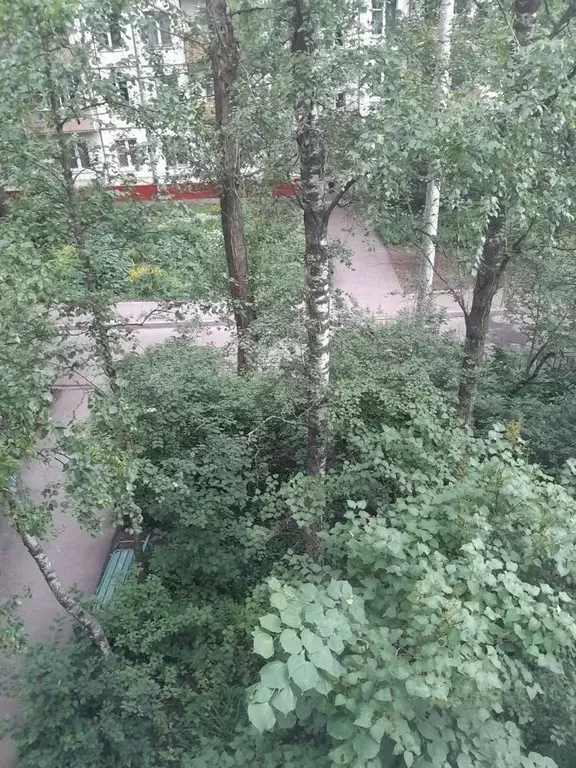 1-к кв. Москва Волгоградский просп., 72К2 (32.0 м) - Фото 1