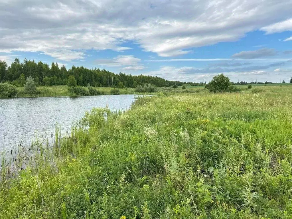 Участок в Башкортостан, Иглинский район, с. Чуваш-Кубово  (2143.0 ... - Фото 1