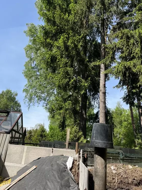 Дом в Московская область, Пушкинский городской округ, Зеленоградский ... - Фото 2