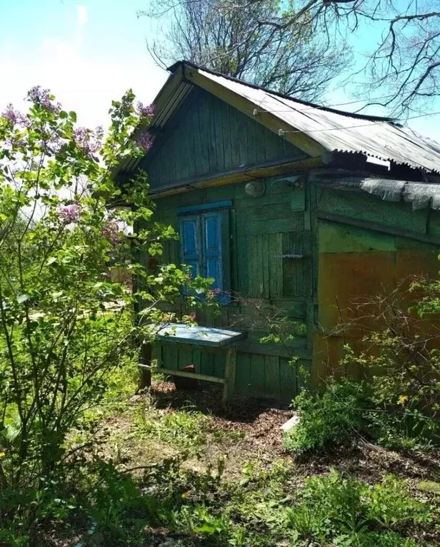 Дом в Приморский край, Октябрьский муниципальный округ, с. Покровка ... - Фото 1