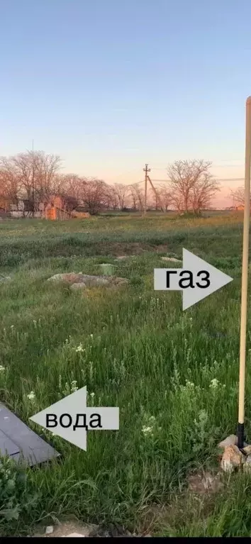 Участок в Крым, Сакский район, Молочненское с/пос, с. Витино ул. ... - Фото 0