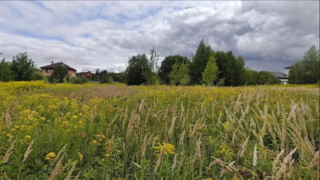 Участок в Московская область, Ленинский городской округ, Горки ... - Фото 2
