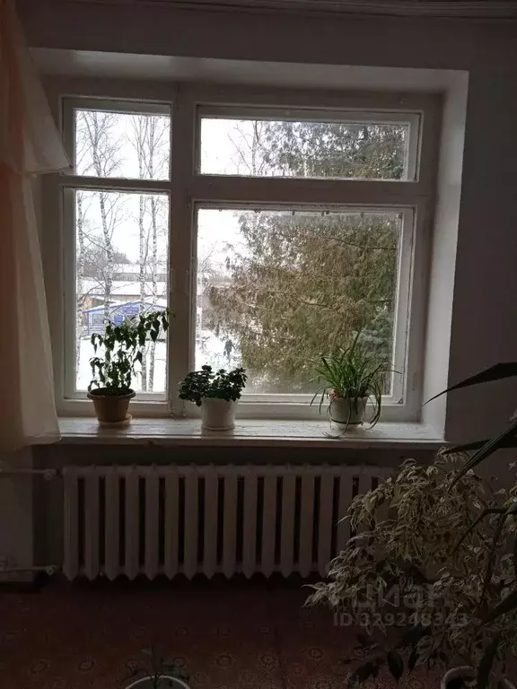 Помещение свободного назначения в Кировская область, Уни пгт ул. ... - Фото 2