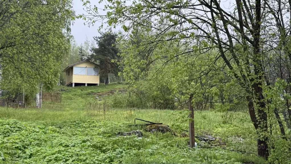 Участок в Карелия, Питкярантский муниципальный округ, д. Хийденсельга ... - Фото 1