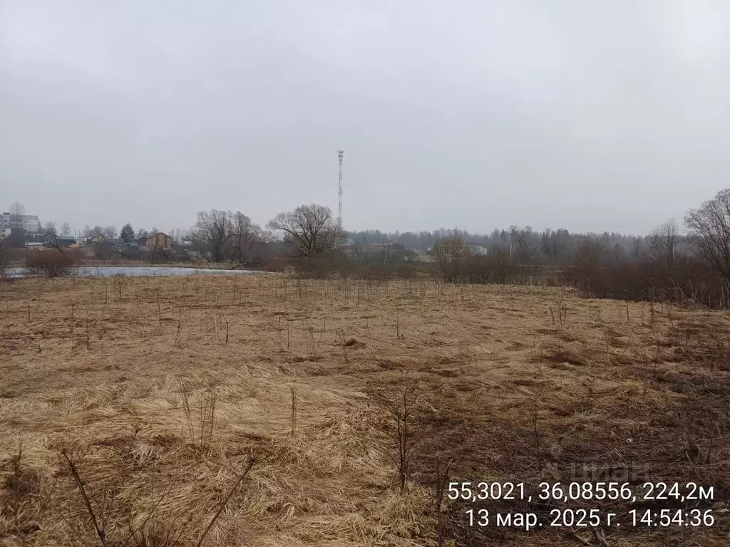 Участок в Московская область, Наро-Фоминский городской округ, д. ... - Фото 0