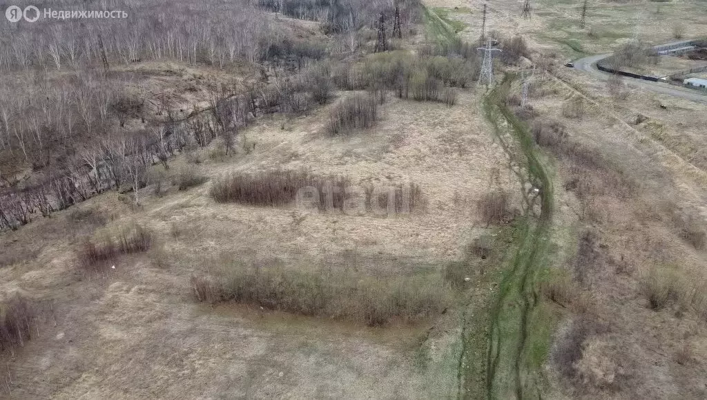 Участок в Елизовский район, Новоавачинское сельское поселение, посёлок ... - Фото 1
