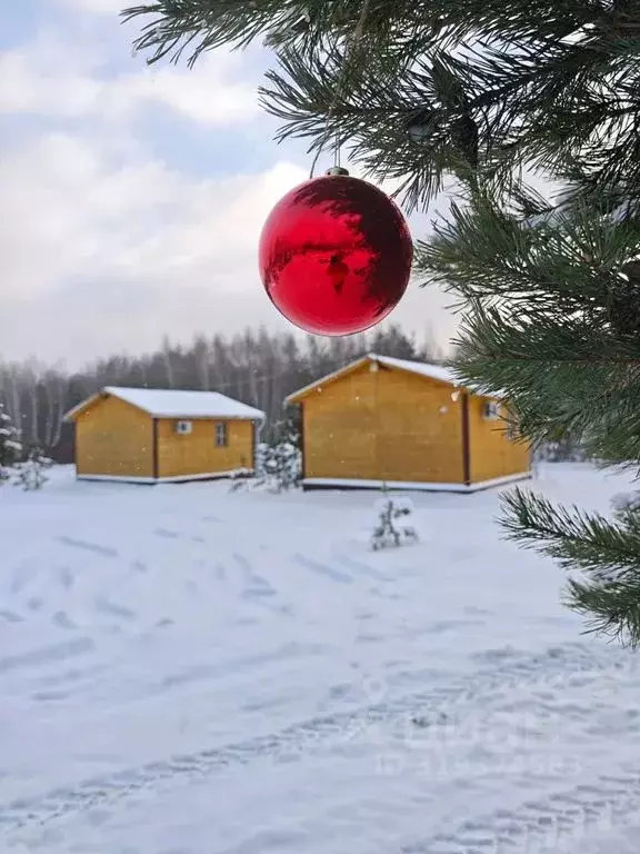 Дом в Рязанская область, Касимовский муниципальный округ, д. Лощинино ... - Фото 2