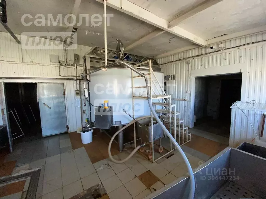 Производственное помещение в Тюменская область, Исетский район, с. ... - Фото 2