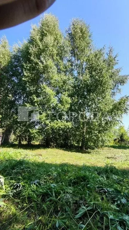 Участок в Новосибирская область, Новосибирск Сибирский авиатор СПК, ... - Фото 2