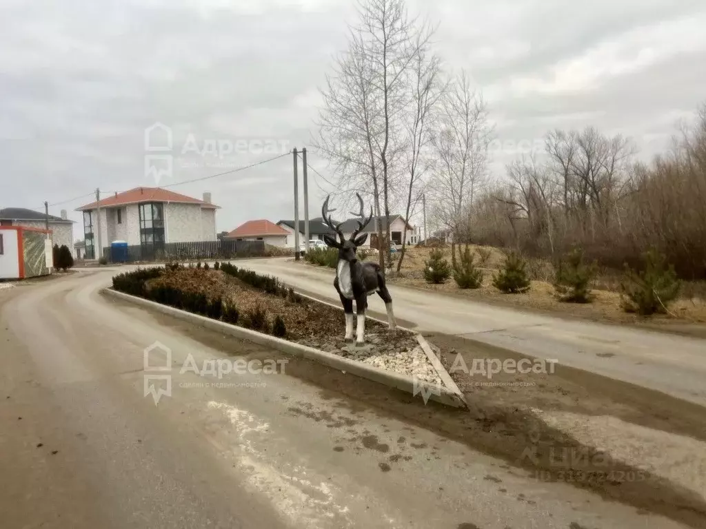 Участок в Волгоградская область, Среднеахтубинский район, ... - Фото 0