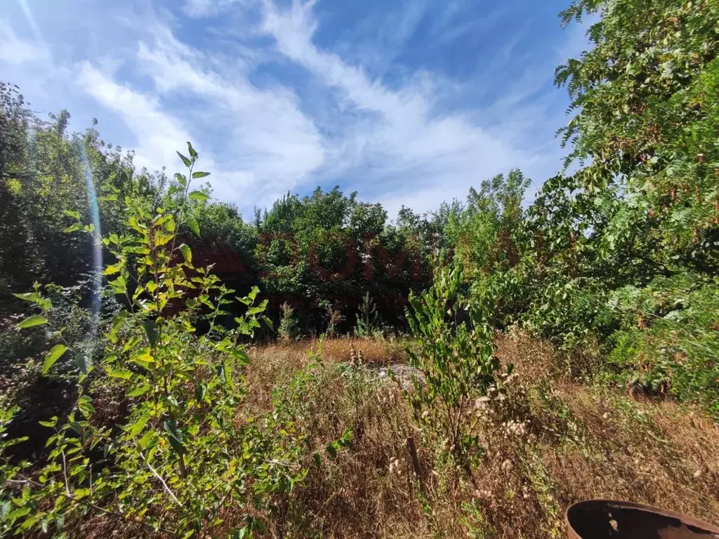 Участок в Ростовская область, Октябрьский район, Красюковская сл. ... - Фото 1