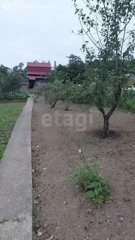 Дом в Южно-Сахалинск, СНТ Дружба (25 м) - Фото 1