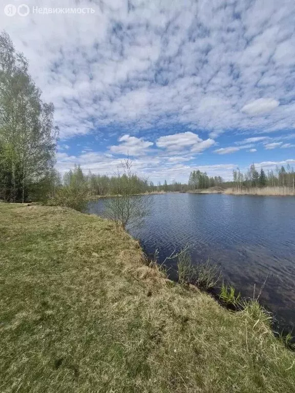 Дом в Нурминское сельское поселение, садоводческий массив Нечеперть, ... - Фото 2