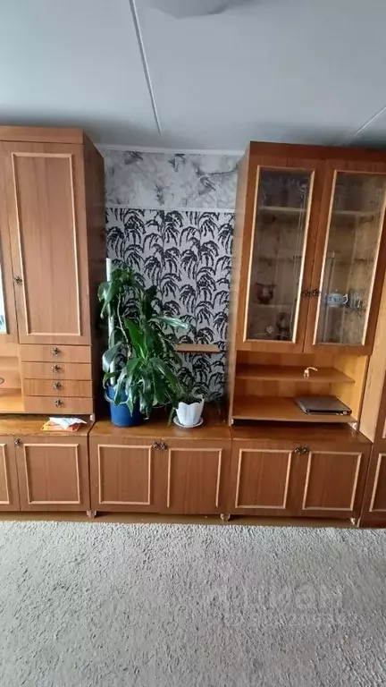 2-к кв. Ивановская область, Кинешма ул. Щорса, 3Б (44.0 м) - Фото 1