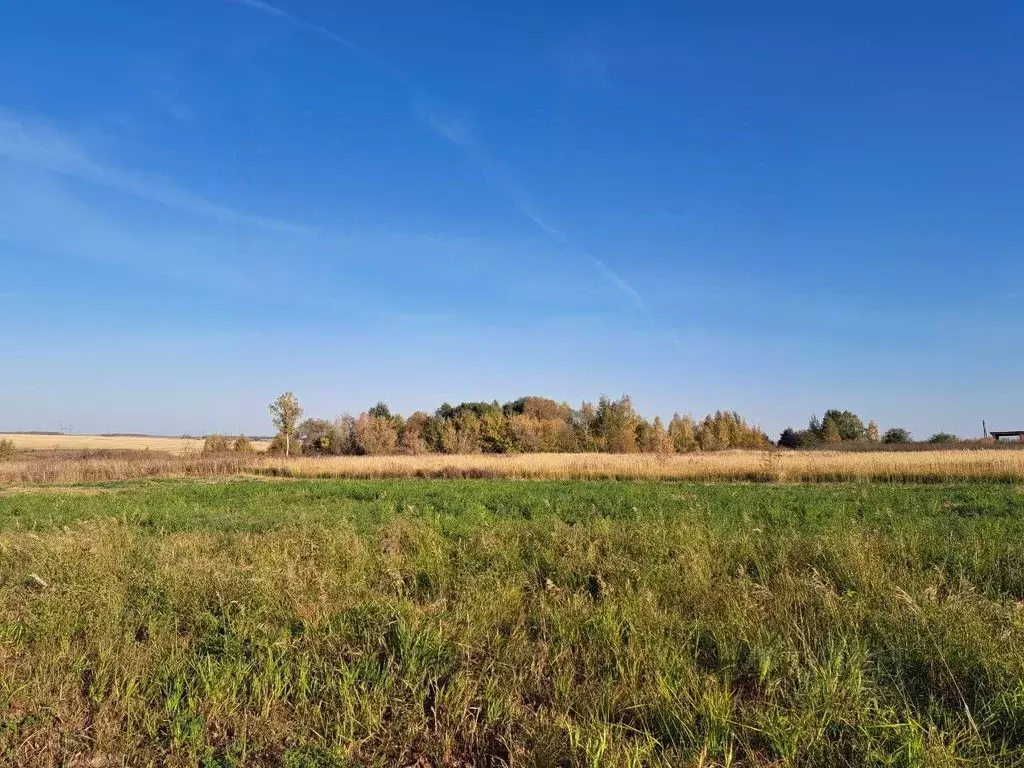 Участок в Московская область, Кашира городской округ, д. Никулино  ... - Фото 0