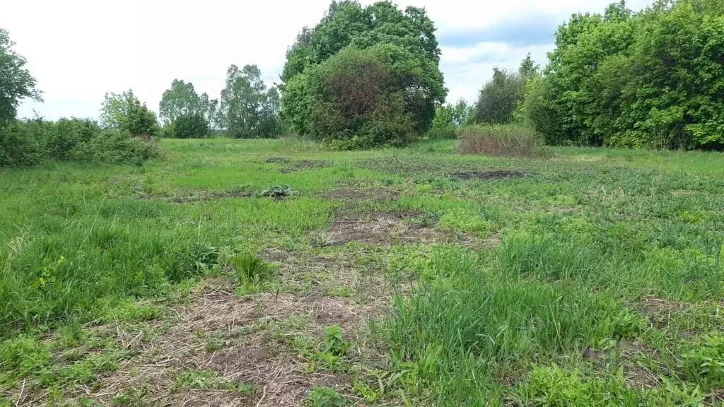 Участок в Чувашия, Чебоксарский муниципальный округ, д. Малое ... - Фото 1