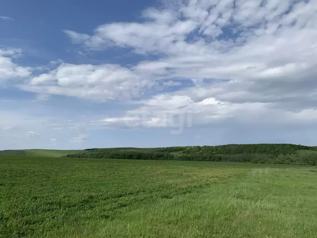 Участок в Татарстан, Лаишевский район, Егорьевское с/пос, с. Бима ул. ... - Фото 1