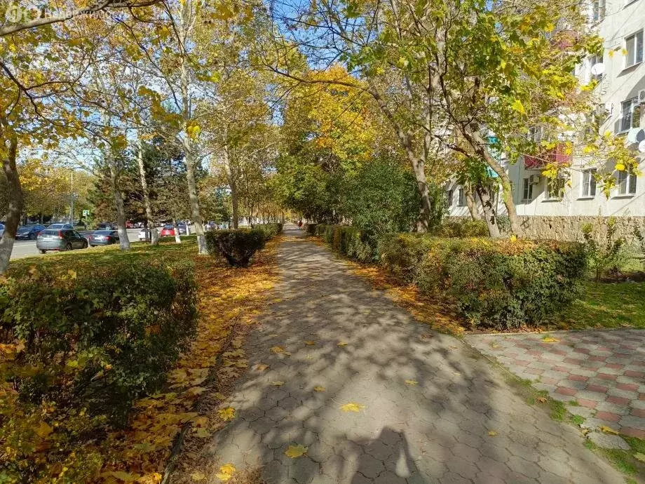 Офис (56.6 м) - Фото 1