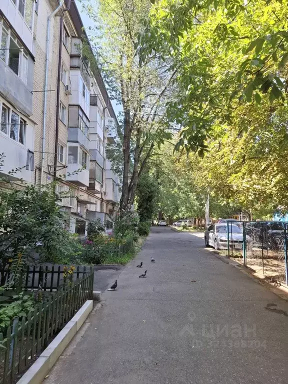 3-к кв. Ставропольский край, Ставрополь ул. Ленина, 328/15 (59.0 м) - Фото 1