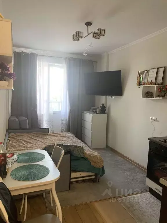 Студия Московская область, Одинцово Северная ул., 5к2 (24.3 м) - Фото 2