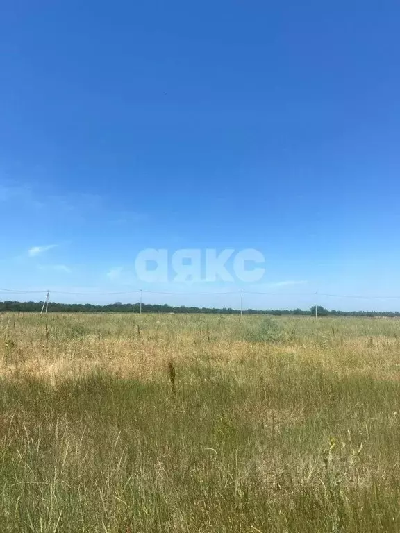 Участок в Адыгея, Майкоп городской округ, пос. Северный  (6.5 сот.) - Фото 2