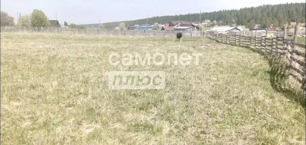 Участок в Свердловская область, Первоуральск муниципальный округ, д. ... - Фото 1