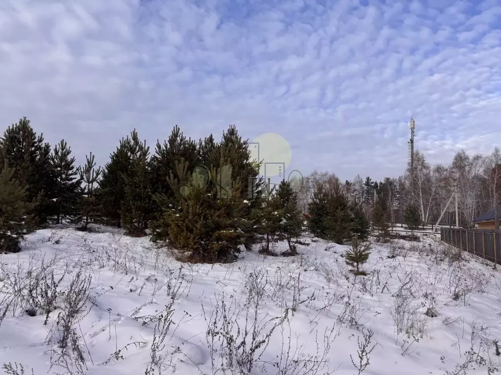 Участок в Иркутская область, Иркутский муниципальный округ, д. Карлук ... - Фото 1