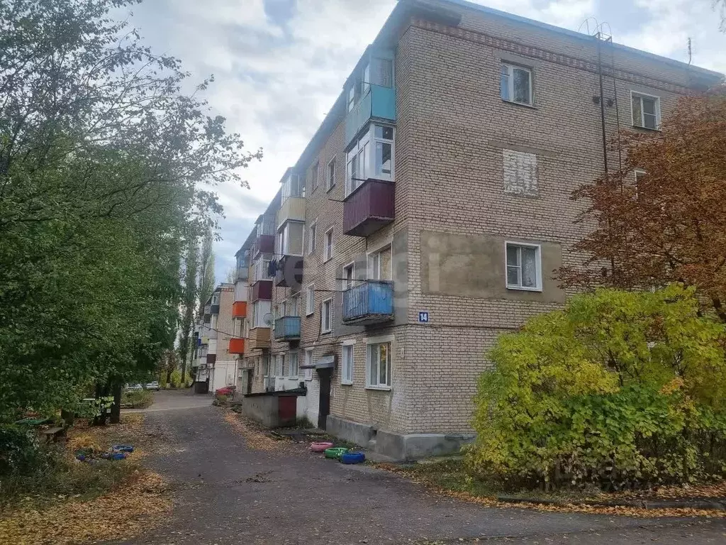 3-к кв. Тамбовская область, Никифоровский муниципальный округ, ... - Фото 2