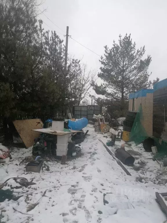 Участок в Еврейская автономная область, Смидовичский район, пос. ... - Фото 2