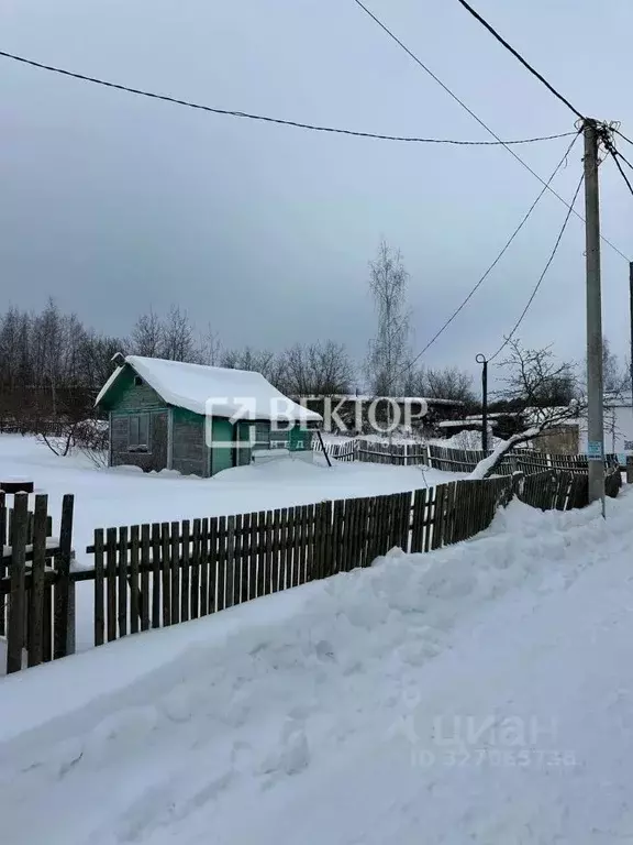 Дом в Костромская область, Кострома Одуванчик СНТ, 38 (20 м) - Фото 1