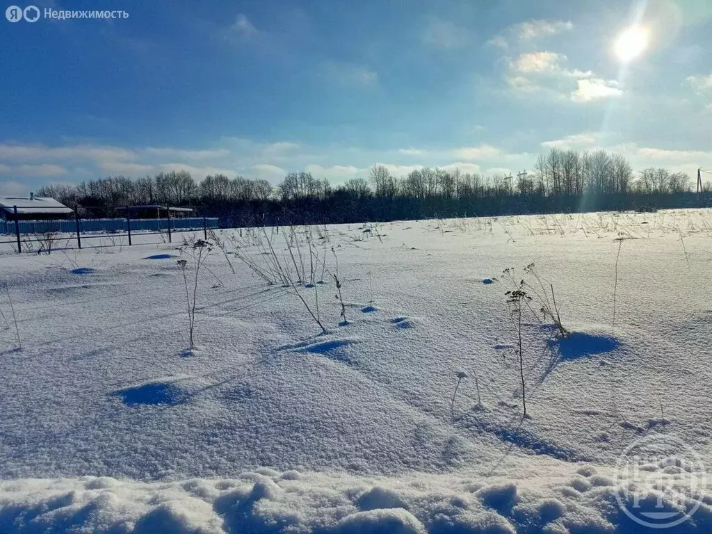 Участок в Кировский район, Путиловское сельское поселение, деревня ... - Фото 1