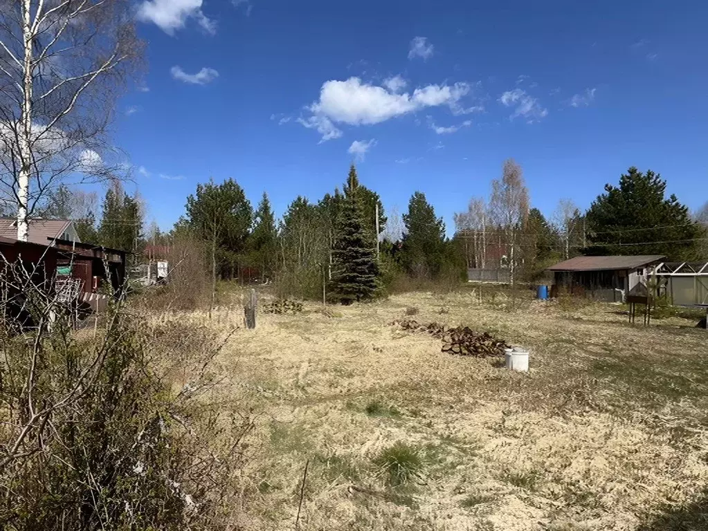 Участок в Ленинградская область, Приозерский район, Раздольевское ... - Фото 1