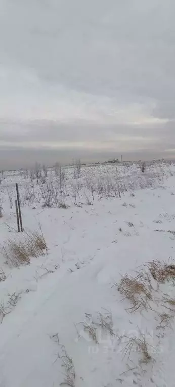 Участок в Кемеровская область, Новокузнецкий муниципальный округ, с. ... - Фото 0