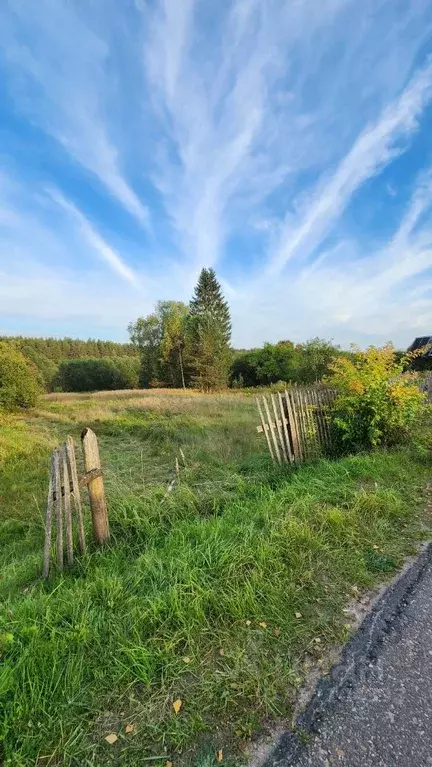Участок в Тверская область, Селижаровский муниципальный округ, д. ... - Фото 1