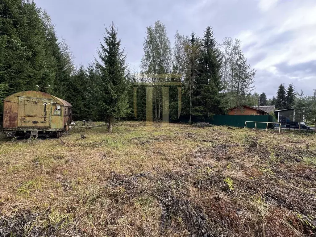 Участок в Ленинградская область, Всеволожский район, Куйвозовское ... - Фото 1