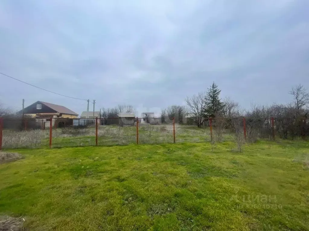 Участок в Ростовская область, Азовский район, Новоалександровское ... - Фото 1