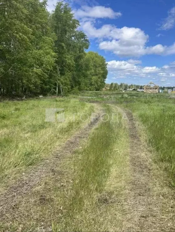 Участок в Новосибирская область, Новосибирский район, Морской ... - Фото 0