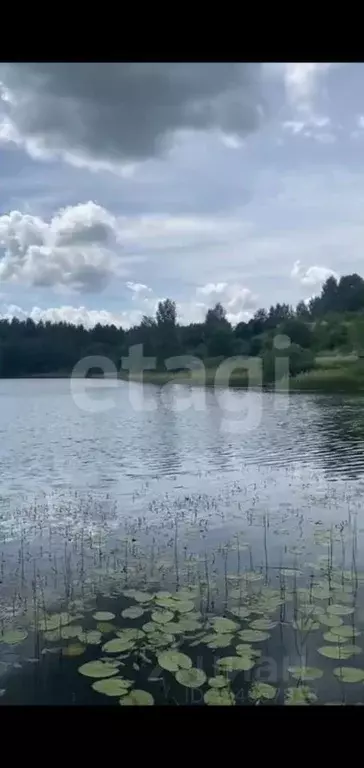 Участок в Псковская область, Новоржевский муниципальный округ, д. ... - Фото 2