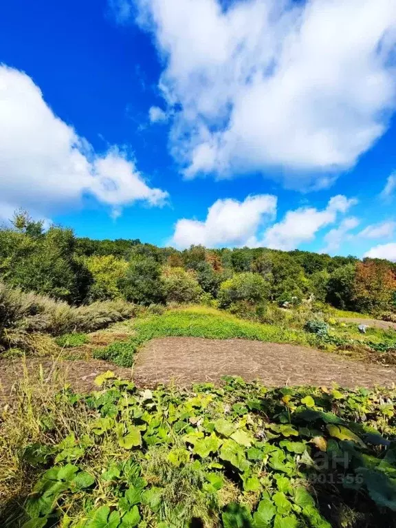 Участок в Амурская область, Благовещенск пос. Моховая Падь, ул. ... - Фото 2