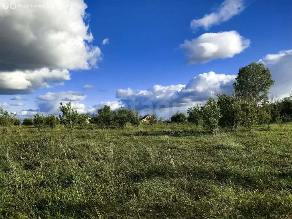 Участок в Юрга, Полевая улица (13 м) - Фото 2