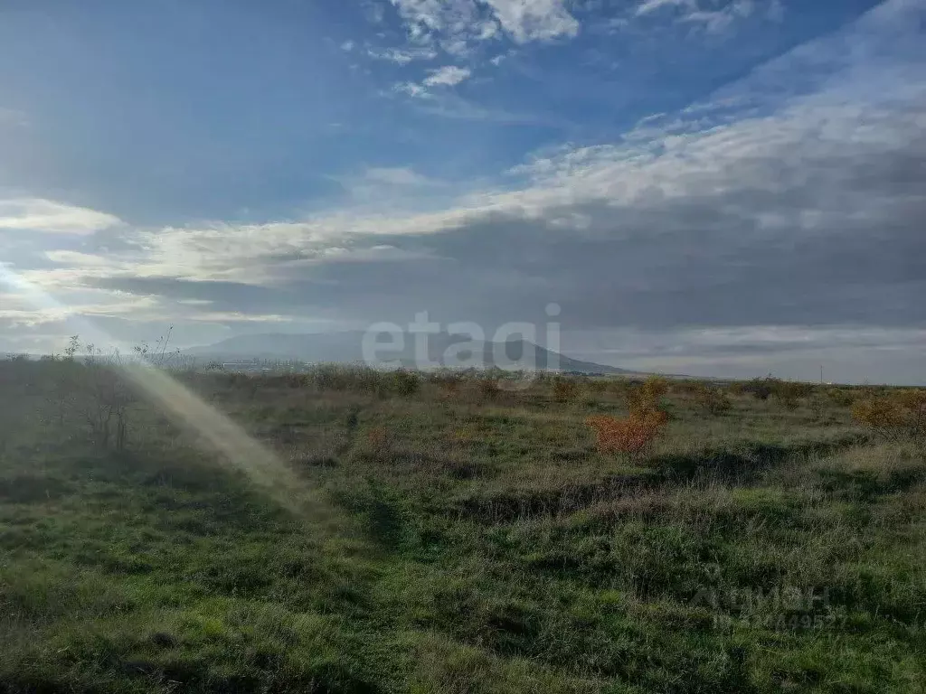 Участок в Крым, Кировский район, Первомайское с/пос, с. Изюмовка ул. ... - Фото 1