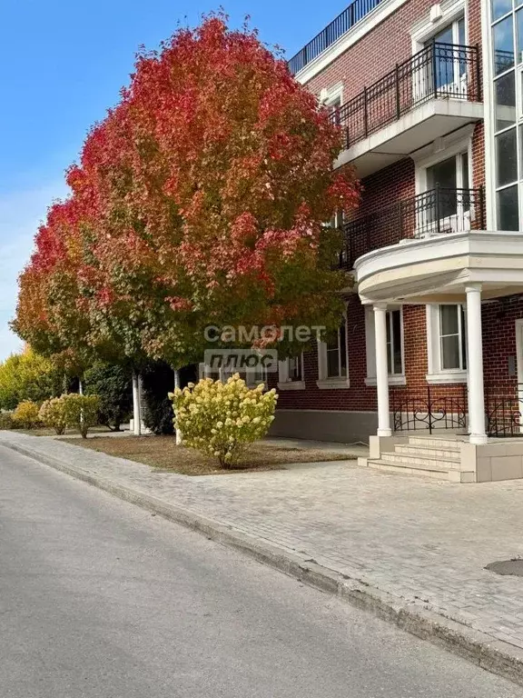 Офис в Самарская область, Тольятти Спортивная ул., 1А (220 м) - Фото 1