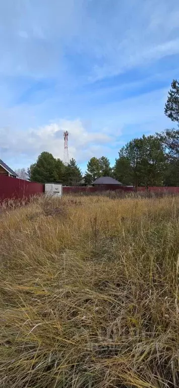 Участок в Ульяновская область, Чердаклинское городское поселение, ... - Фото 1