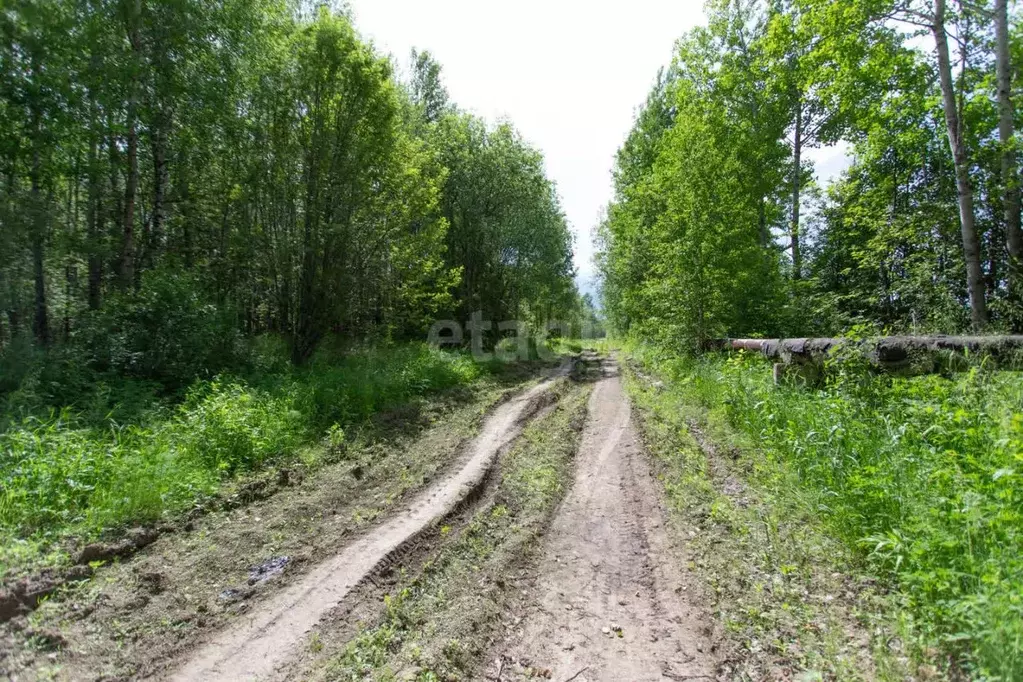 Участок в Тюменская область, Тобольск Усадьба мкр,  (10.0 сот.) - Фото 0