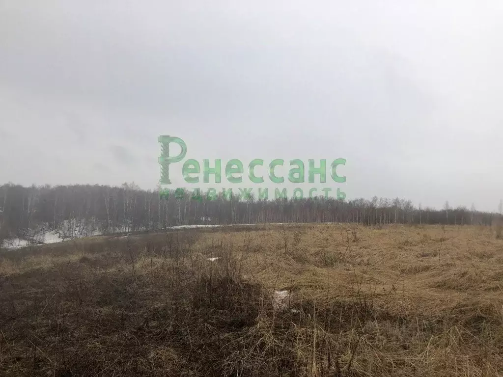 Участок в Брянская область, Выгоничское городское поселение, пос. ... - Фото 1
